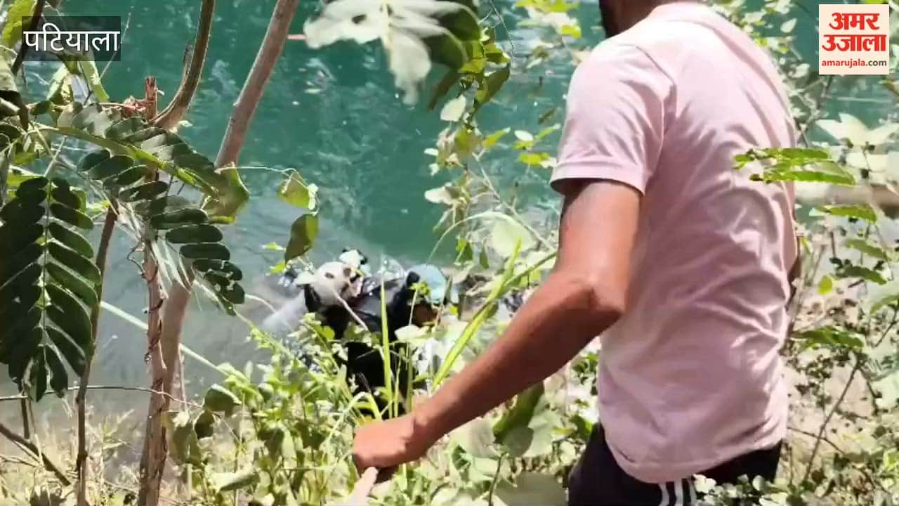 hree children died after jumping into a canal in Rajpura Punjab