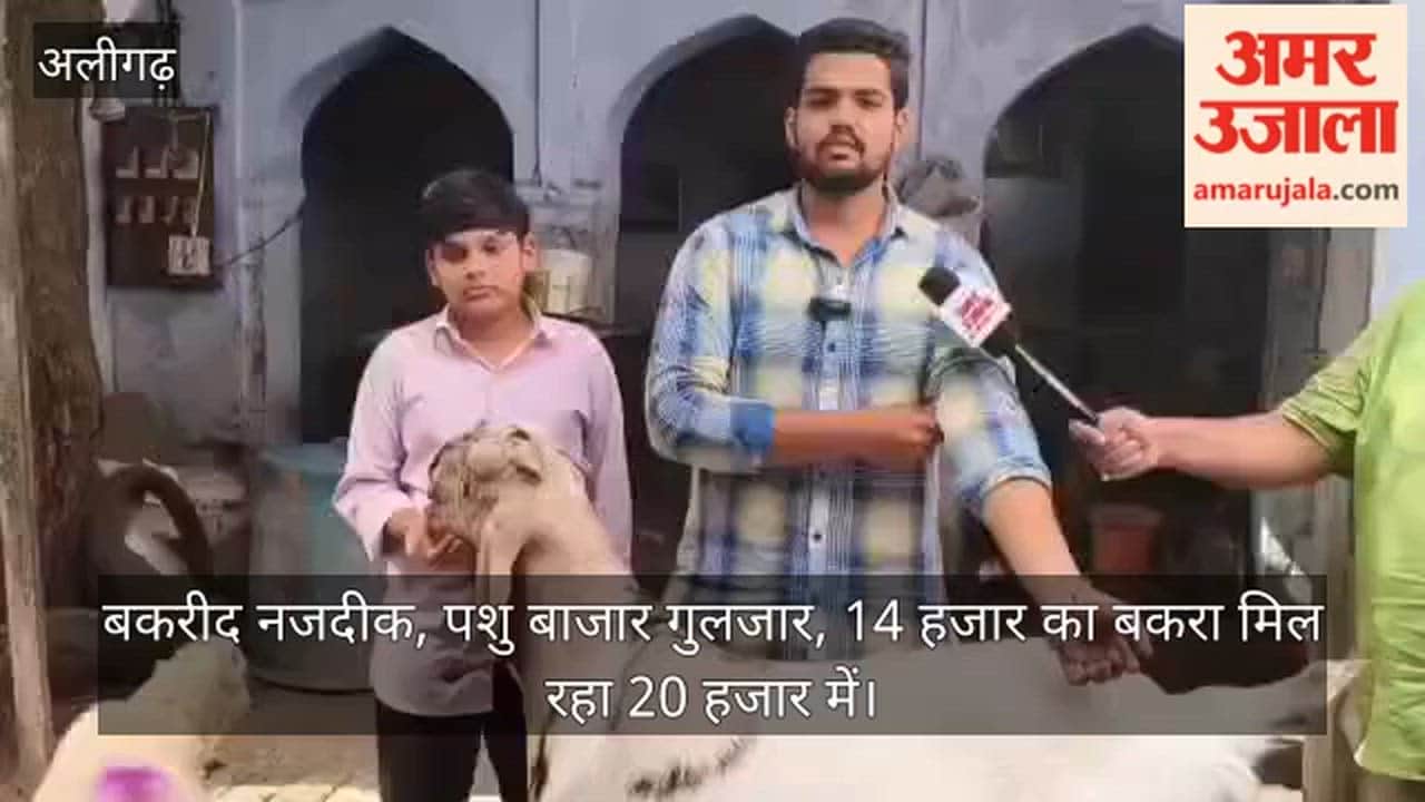 बकरीद नजदीक, पशु बाजार गुलजार, 14 हजार का बकरा मिल रहा 20 हजार में