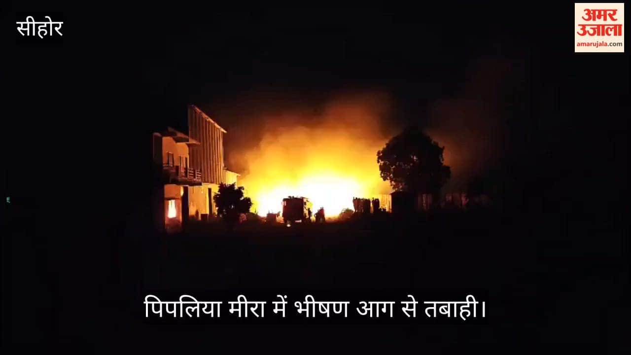 MP News: Massive Blaze in Pipliya Meera Flour Mill, Vehicles Burnt; Farmer Suffers ₹10 Lakh Loss