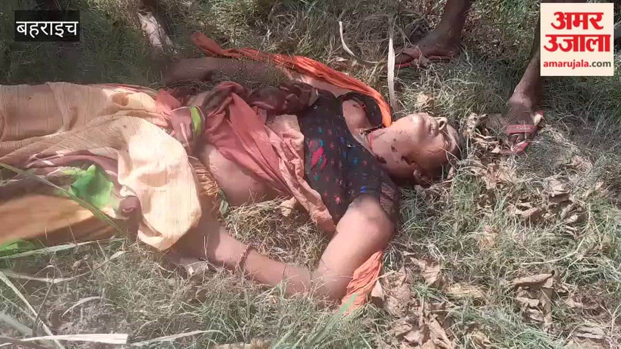 बहराइच में बाघ ने हमला करके महिला को मार डाला