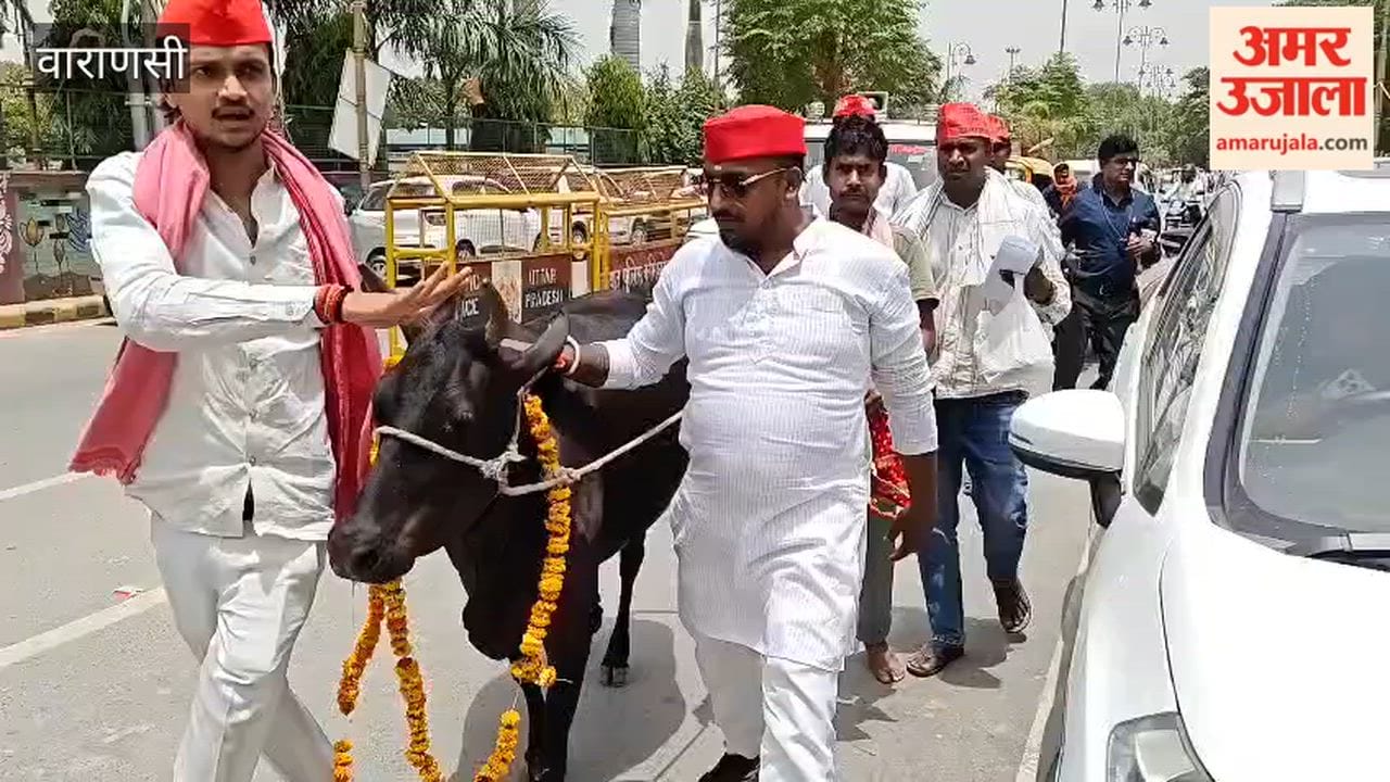 SP Workers Protest Demanding Declaration of National Animal