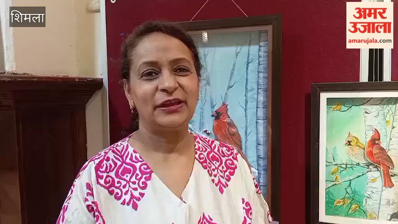 Shimla: Modern 3D paintings captured the attention of visitors at the 'Strokes of Life' art exhibition held at the Tavern Hall of the Gaiety Theatre