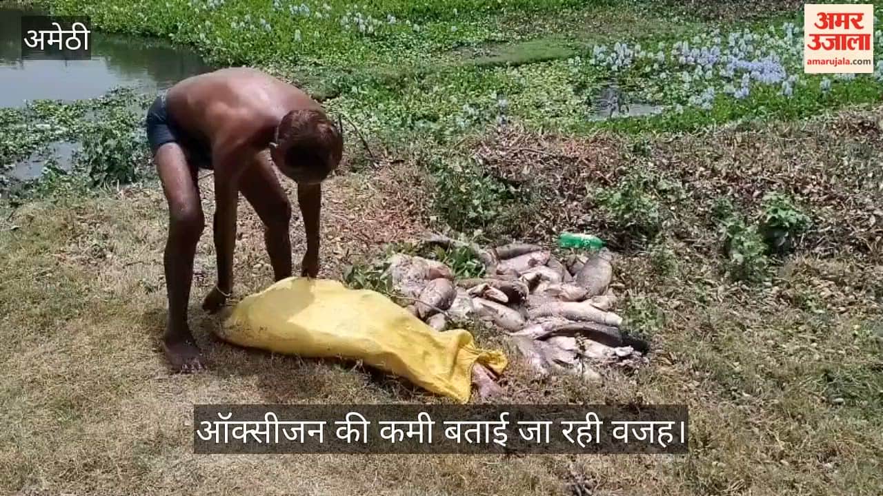 VIDEO: तालाब में मरी मछलियां, दुर्गंध उठने के बाद शुरू हुई कवायद