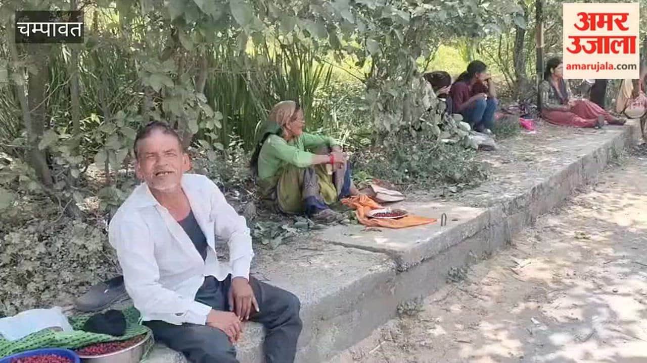 Kafal is being sold in the Mudiani area, earning good income even at Rs 200 to 300 per kg