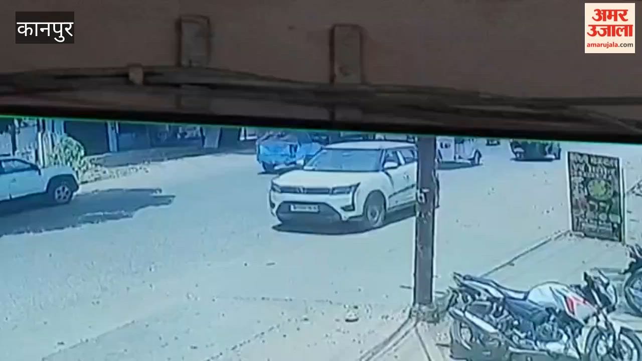 Heartbreaking Tragedy in Kanpur: Car Occupants Flee After Crushing Elderly Man Sitting Under a Tree