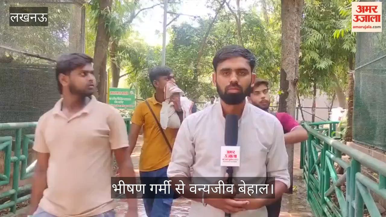 Video: भीषण गर्मी से वन्यजीव बेहाल, चिड़ियाघर में किए गए विशेष इंतजाम