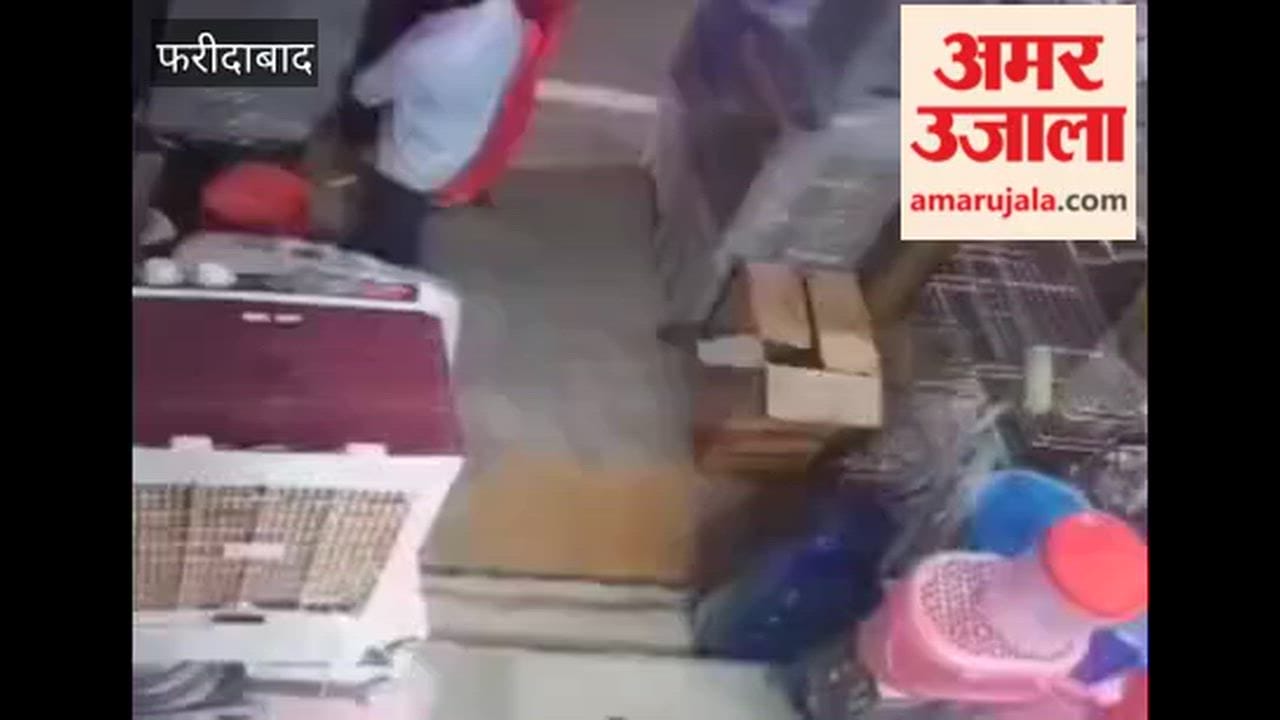 Two shopkeepers clashed over the price of a cooler