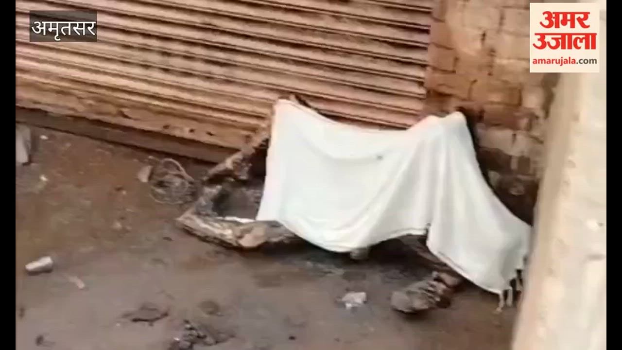 A massive fire broke out in Amritsar's Rambagh Bansa Wale Bazaar, one person burnt alive.