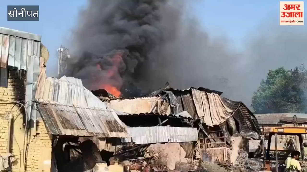 Panic in Sonipat as Fire Engulfs Bamboo Warehouse and Paint Factory; Blaze Erupts Near Kalupur in the Old Industrial Area