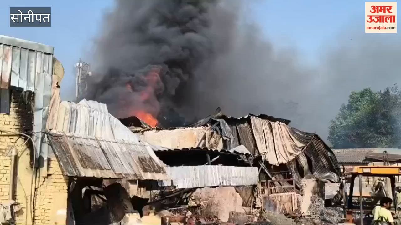Panic in Sonipat as Fire Engulfs Bamboo Warehouse and Paint Factory; Blaze Erupts Near Kalupur in the Old Industrial Area