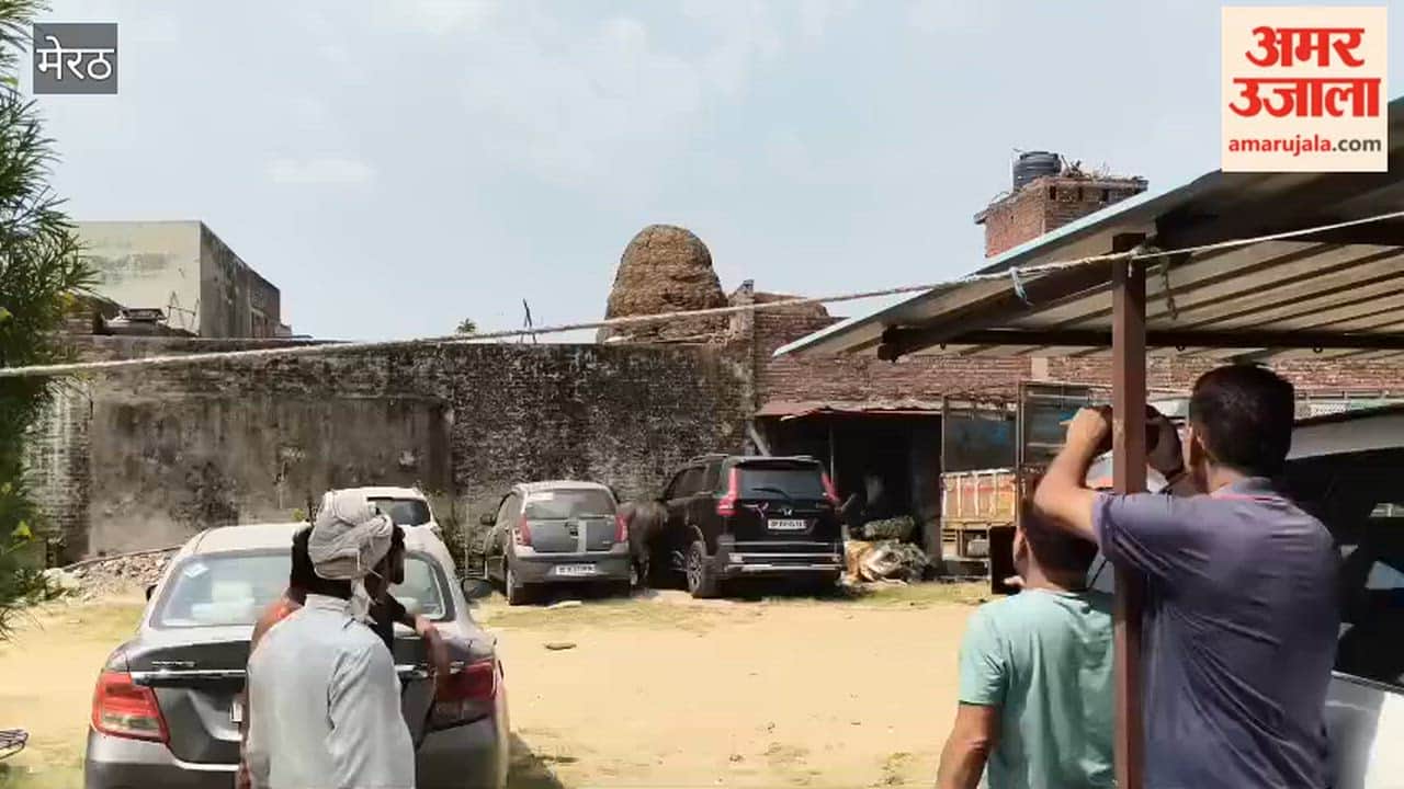 Meerut:  Buffalo Goes Out of Control in Mawana, Several Injured and Car Damaged