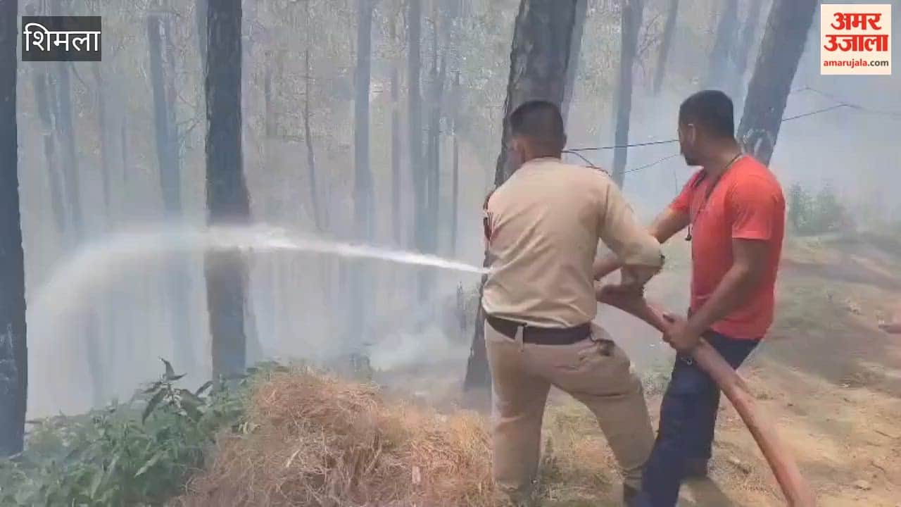 Shimla: Fire Erupts in Tutikandi Forest; Firefighters Engaged in Extinguishing Blaze