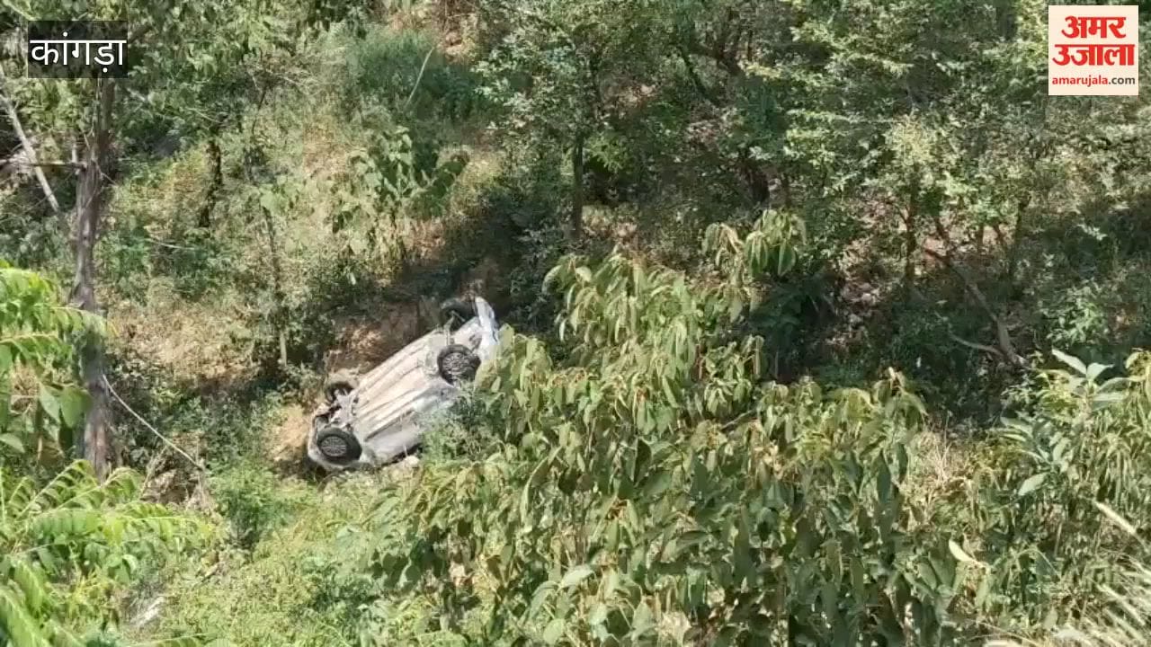 Kangra: Taxi Plunges into Deep Gorge Opposite Dharamshala's Mahanta School; Driver Has Narrow Escape
