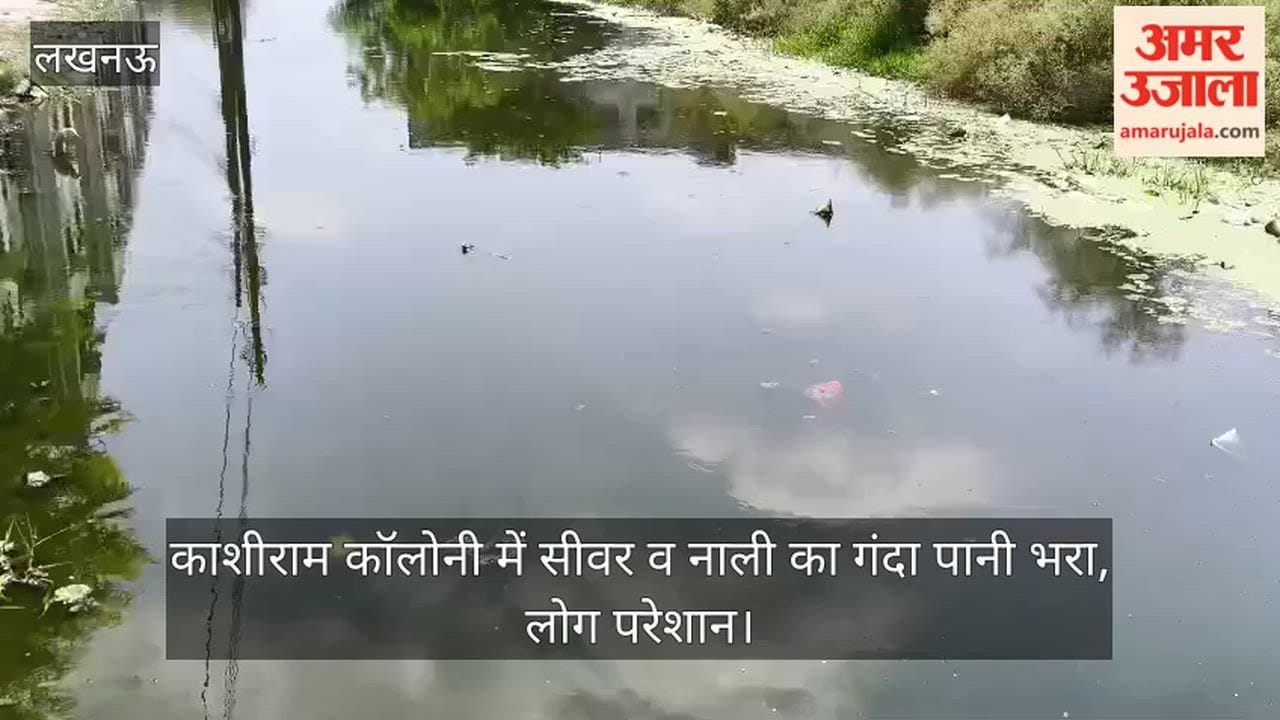 Video: काशीराम कॉलोनी में सीवर व नाली का गंदा पानी भरा, लोग परेशान