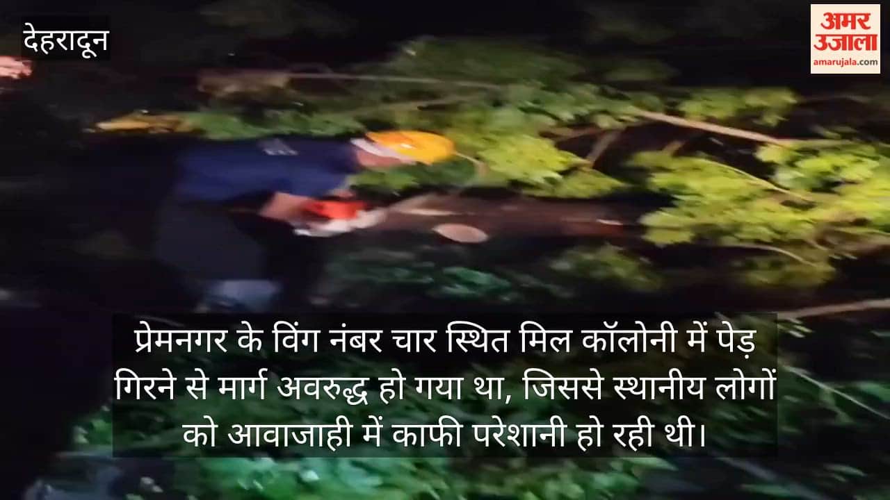 Road Blocked by Fallen Tree in Premnagar Cleared by Cutting into Pieces Dehradun