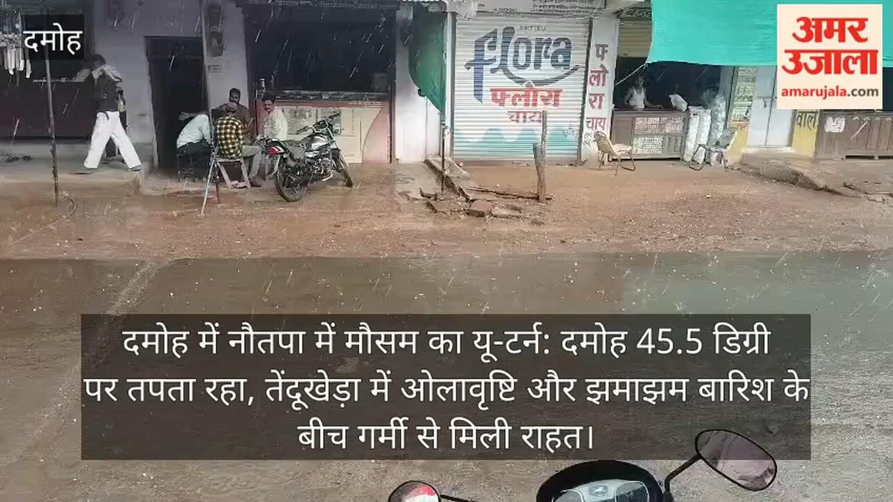 damoh-weather-u-turn-in-nautapa-tendukheda-rain-hailstorm-relief-amid-45-degree-heat