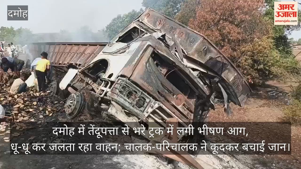 damoh-tendu-leaf-loaded-truck-catches-fire-driver-and-helper-safe