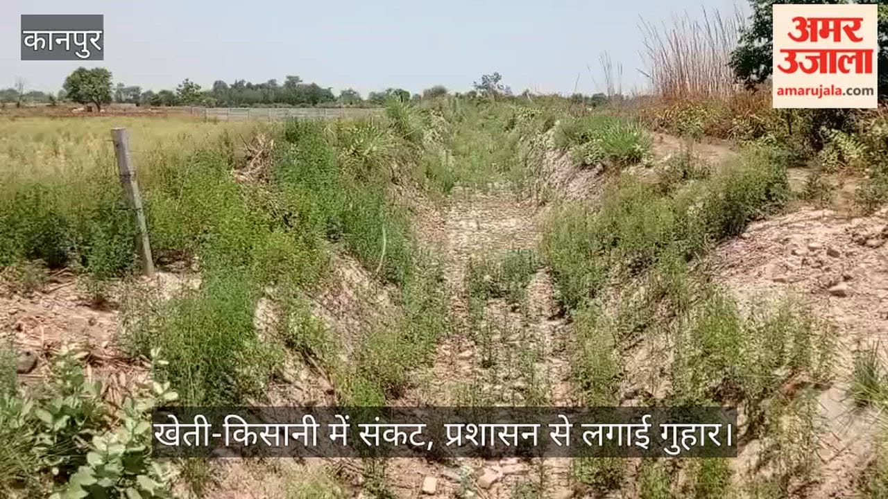 Kanpur Drought casts a shadow over paddy nurseries farmers distressed due to lack of water in channels