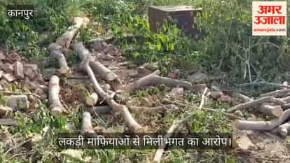 Illegal green tree felling continues in Saadh area, locals allege nexus of police and forest staff