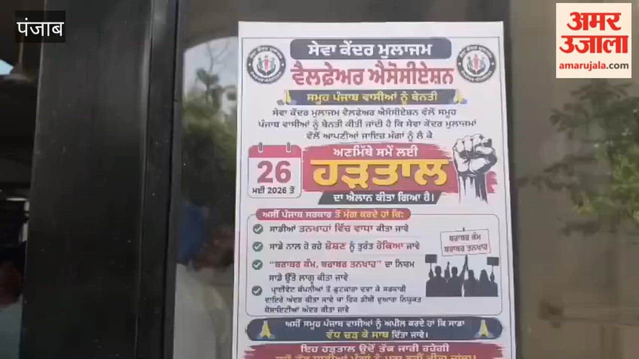 Punjab's Sewa Kendra Employees Halt Work; Go on Strike Demanding Salary Hike