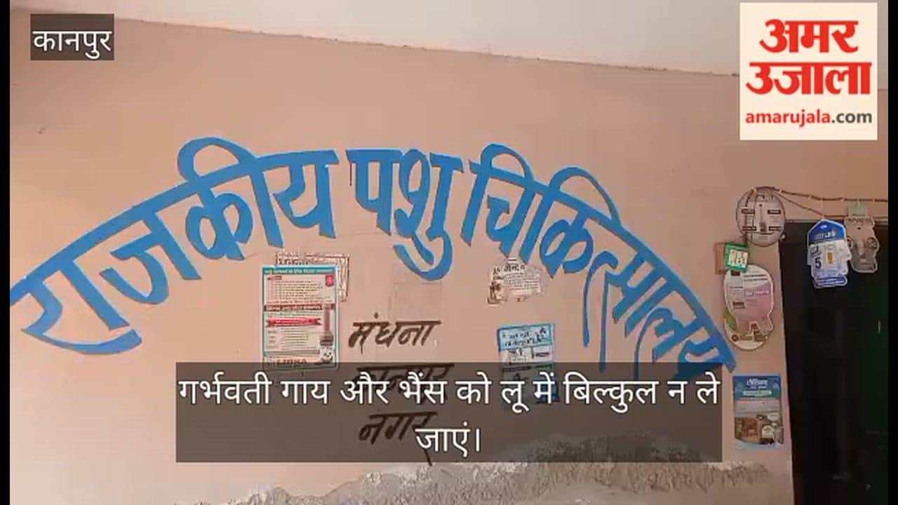 Kanpur Dr Amarendra Singh Says Do Not Feed Fodder from Moisture Depleted Fields to Livestock