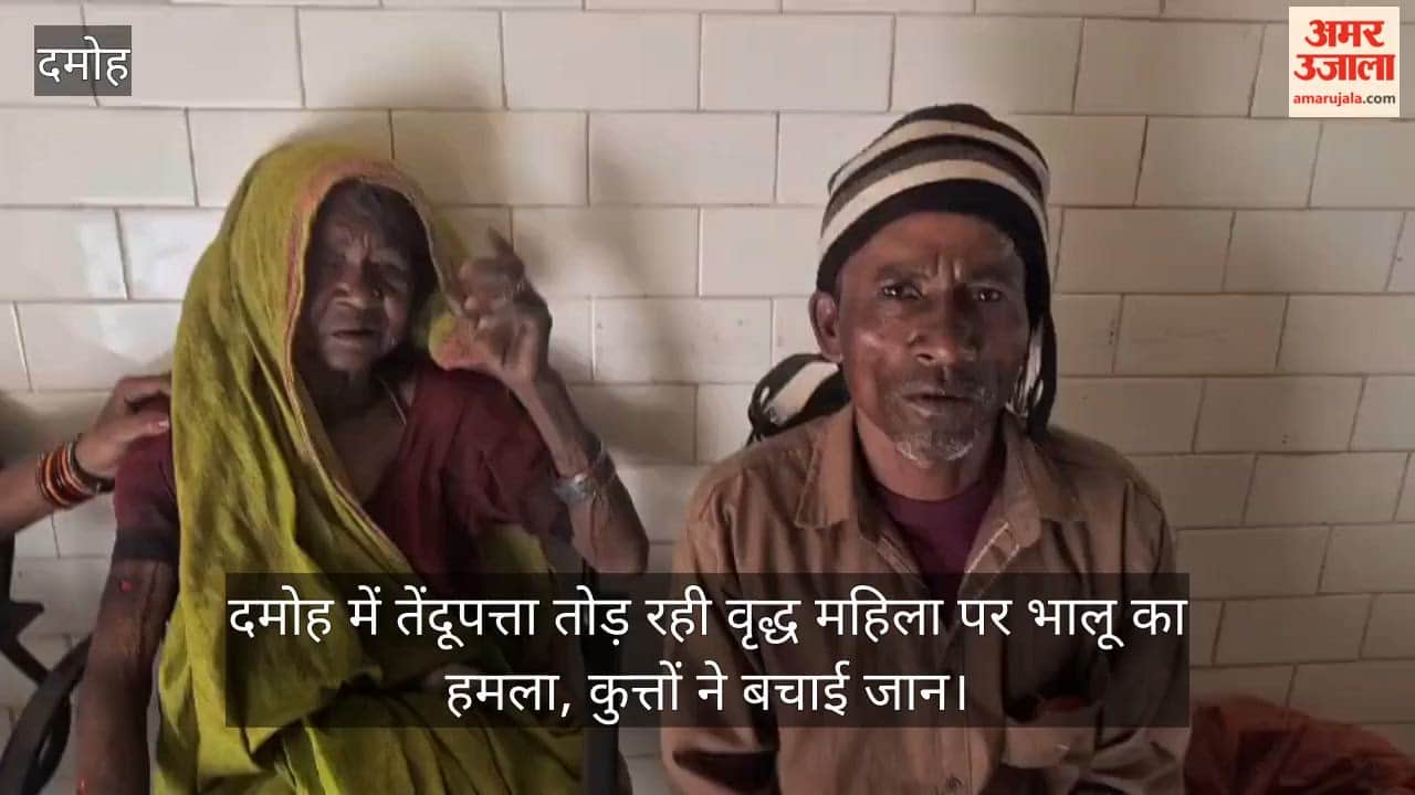 damoh-bear-attack-on-woman-during-tendu-leaf-collection-dogs-saved-her-life