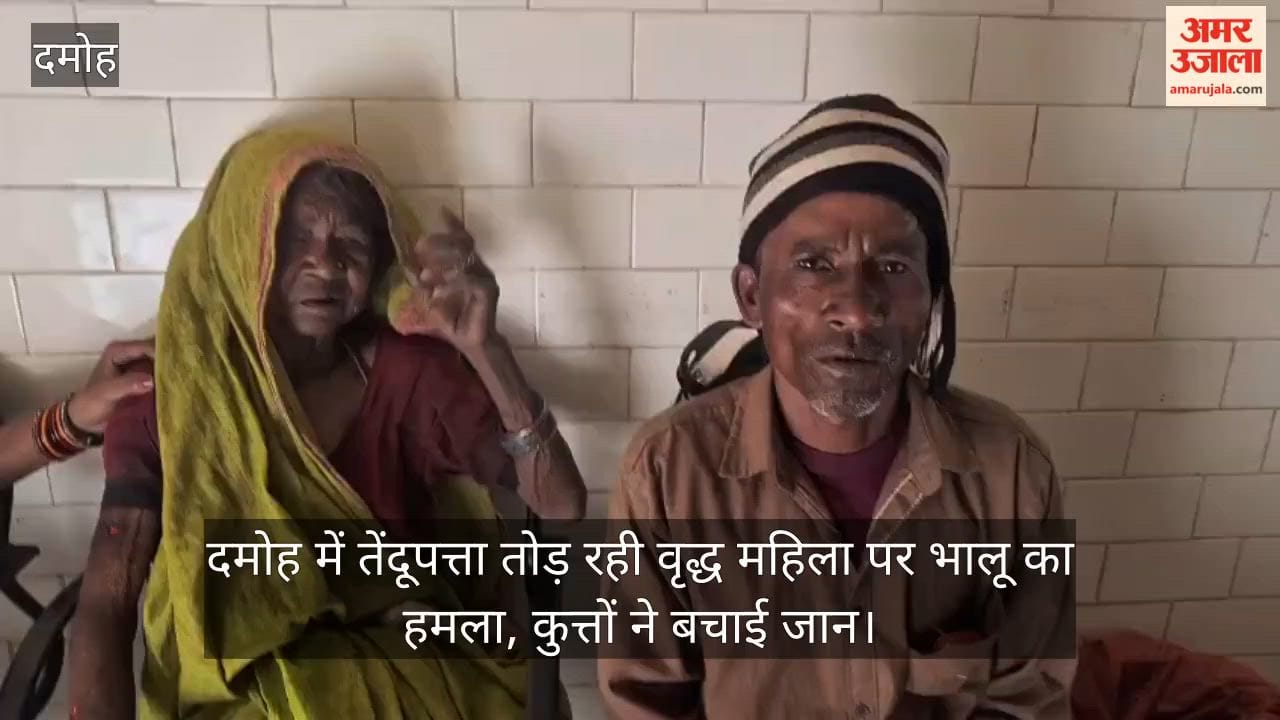 damoh-bear-attack-on-woman-during-tendu-leaf-collection-dogs-saved-her-life
