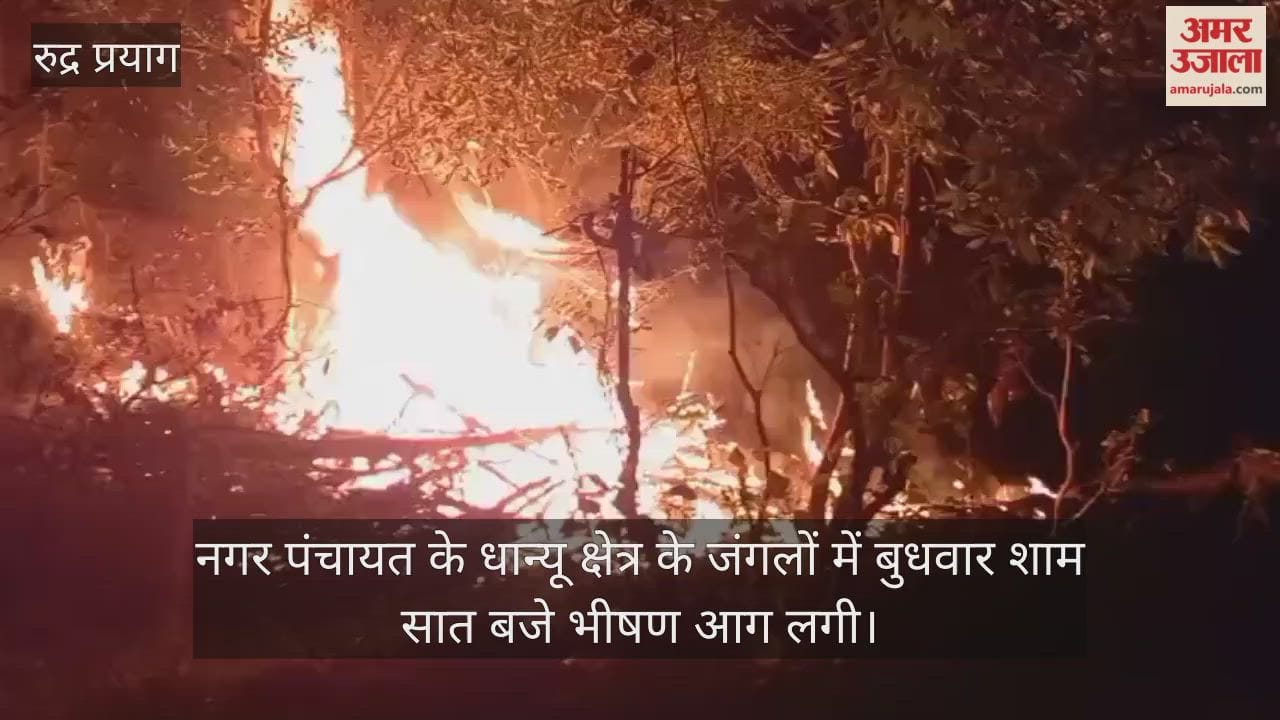Fire broke out in the forests of Augustmuni Dhanyu flames reached the cow shelters