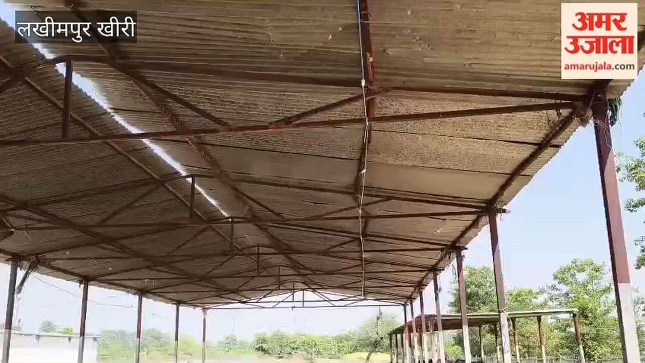 provide relief from the scorching heat, cow shelters started Phagar.