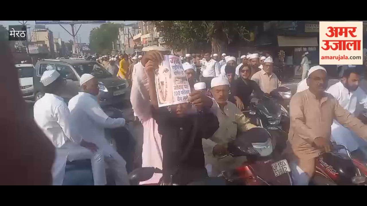Meerut: Child Demands Cow Be Declared National Animal After Eid Prayers