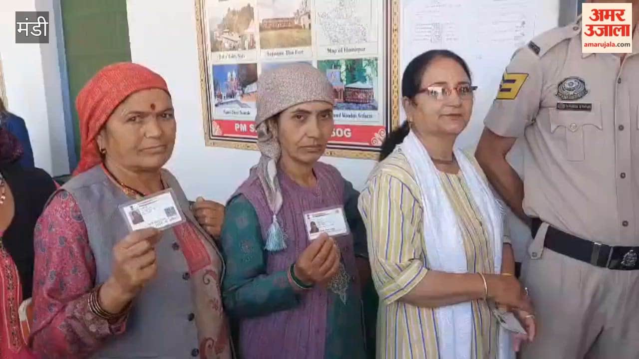 Video: Voting Begins for Phase 2 in Mandi; Enthusiasm for Polling Evident in 196 Panchayats Since Morning