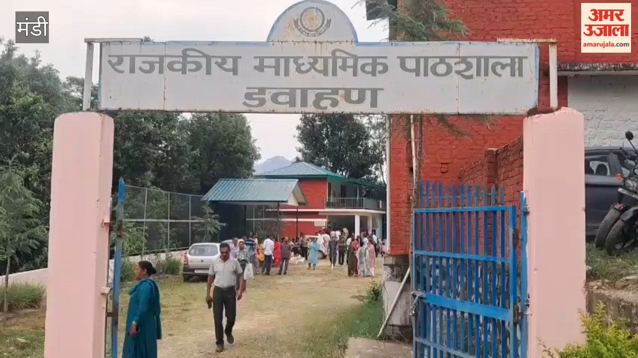 Video: Voter Turnout Doubles in Two Hours in Mandi