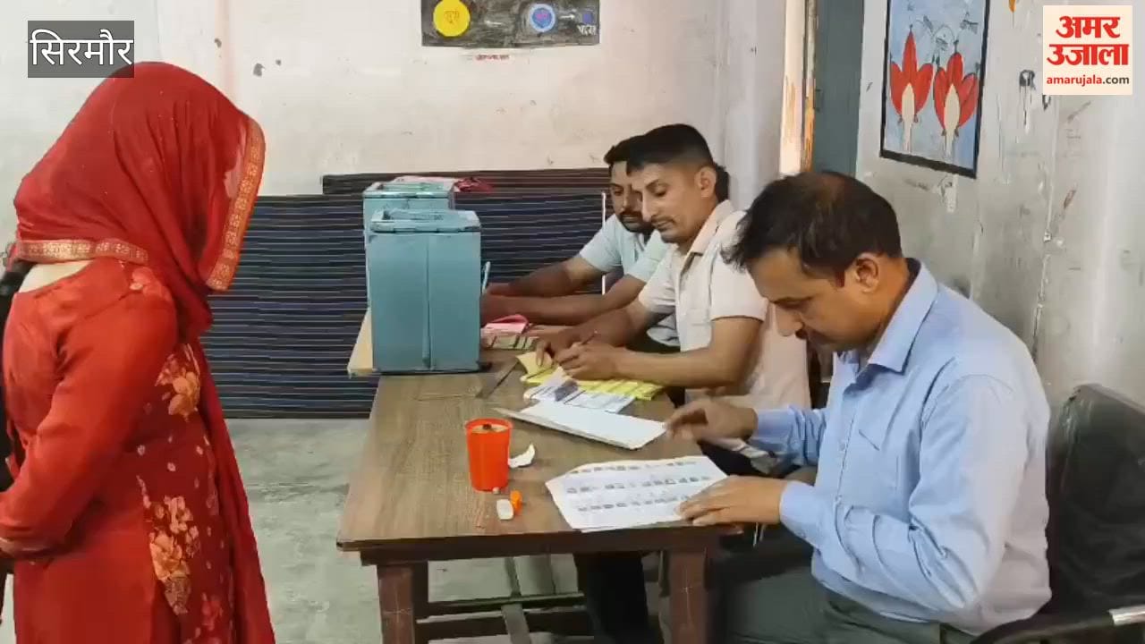 Video: Voting picks up pace in Sirmaur; half of the voters have cast their votes by 11 AM