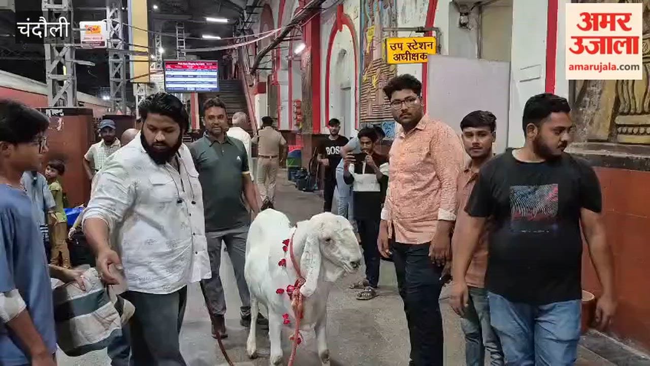 160-Kilogram Giant Goat Becomes Center of Attraction in Mughalsarai