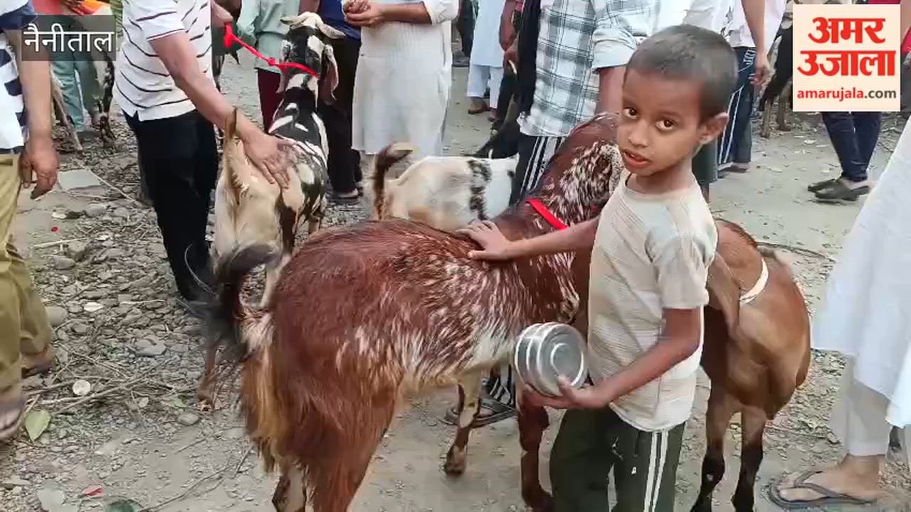 Crowds of buyers gathered at the goat market before Bakra Eid