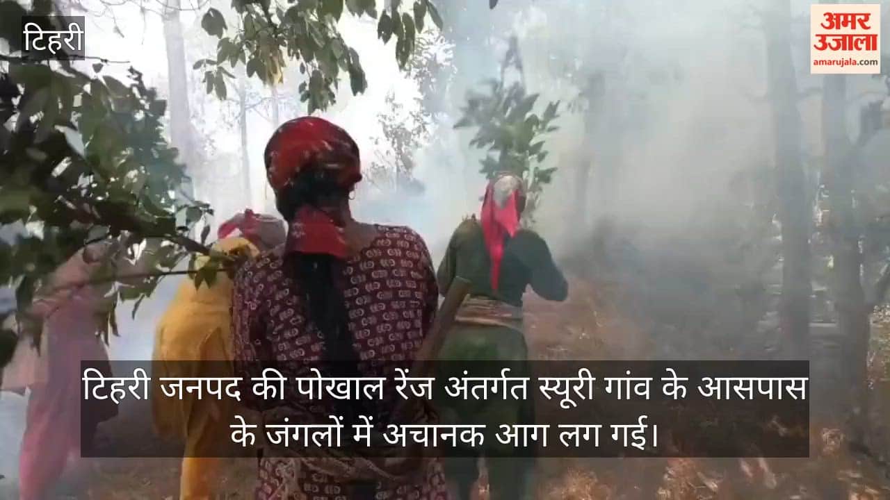 Fire Erupts in the Forests of Siuri Village Women Risk Their Lives Tehri Garhwal