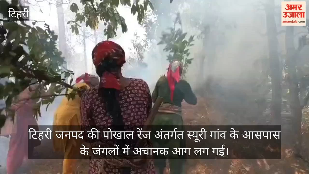 Fire Erupts in the Forests of Siuri Village Women Risk Their Lives Tehri Garhwal