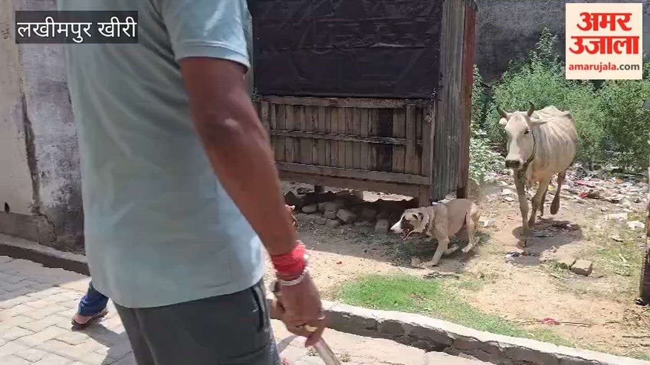 Dog attack 100 People in Lakhimpur Kheri