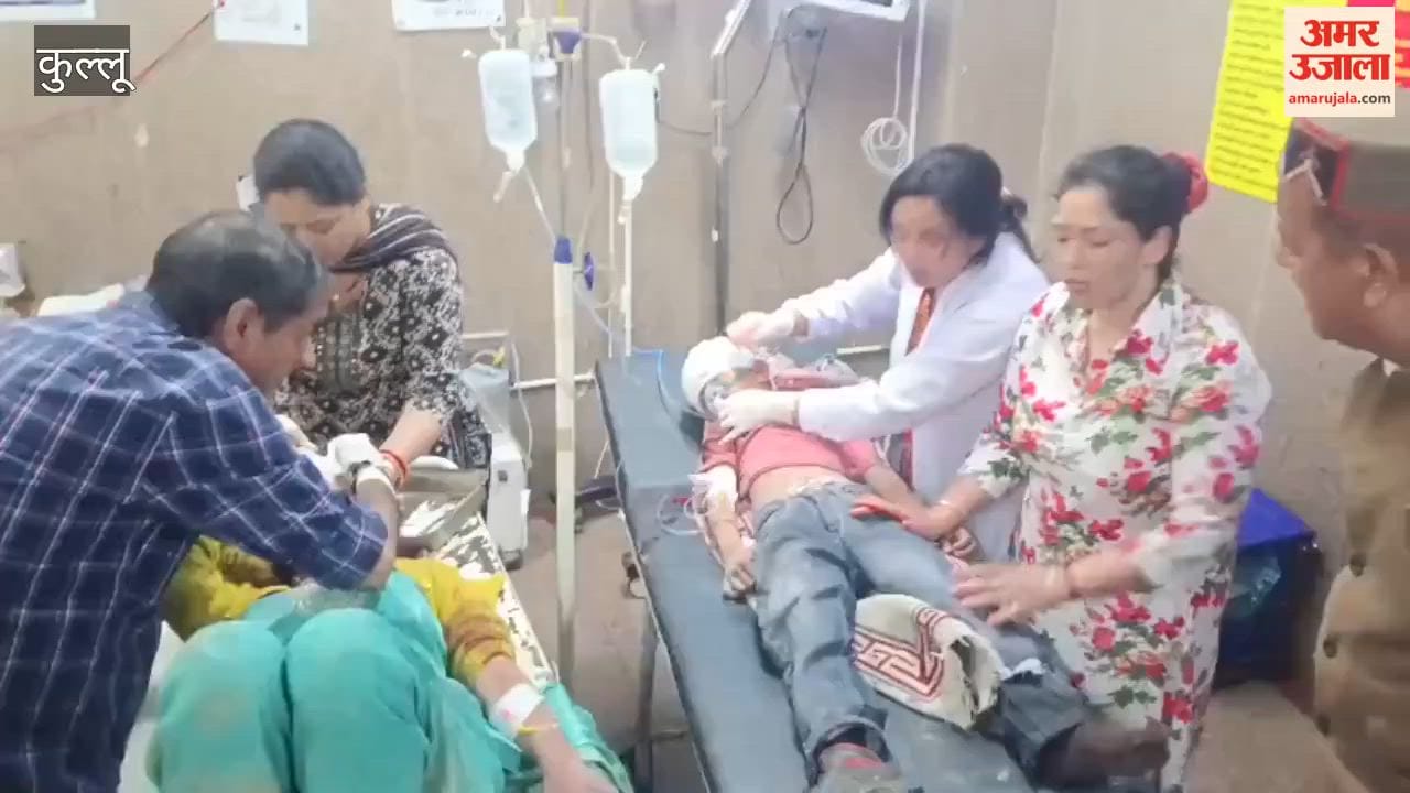 Road Accident in Kullu: Taxi Plunges into Gorge; Death Toll Remains Unclear