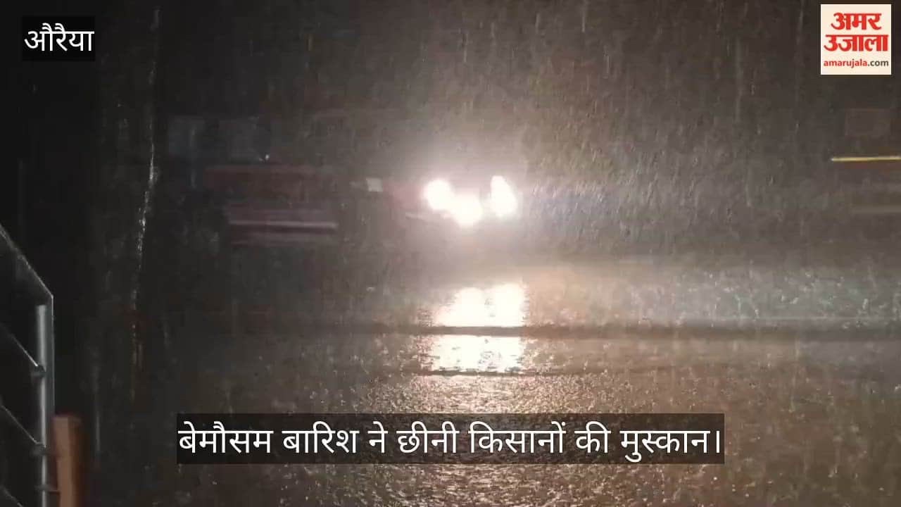 Unseasonal rain and strong winds damage moong and urad crops in Auraiya
