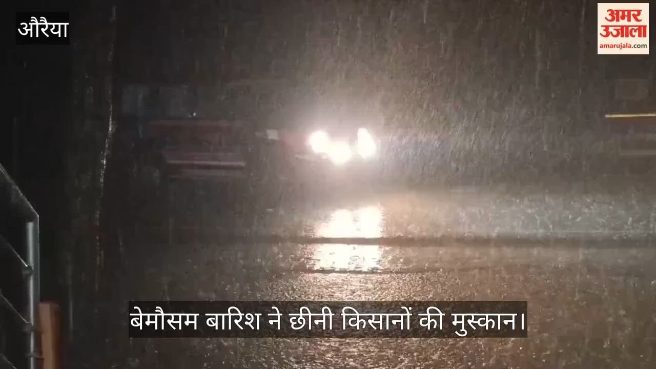 Unseasonal rain and strong winds damage moong and urad crops in Auraiya