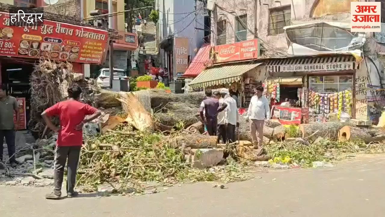 Haridwar: Massive Tree Toppled by Storm in Bhimgoda; Building Damaged, Footpath Completely Destroyed