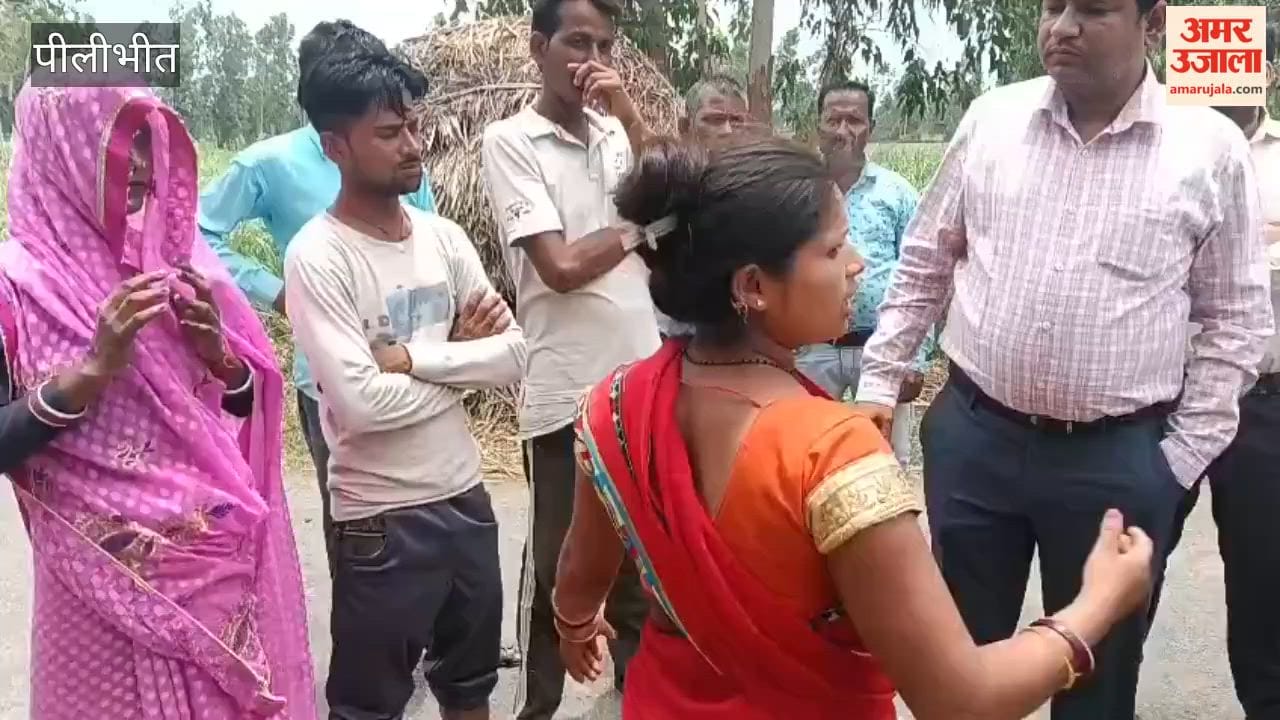 Four Animals Die Due to Electrocution in Pilibhit