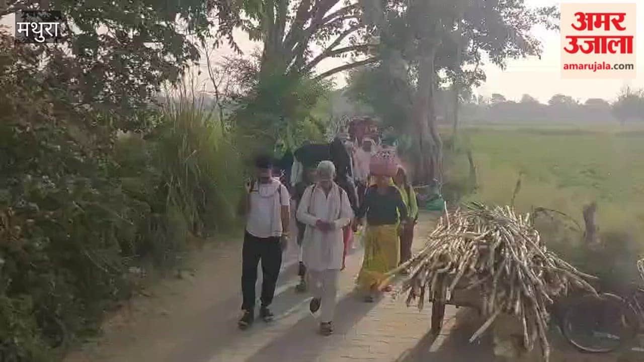 Massive Rush of Devotees for Dauji Maharaj Darshan During Adhik Maas in Baldev