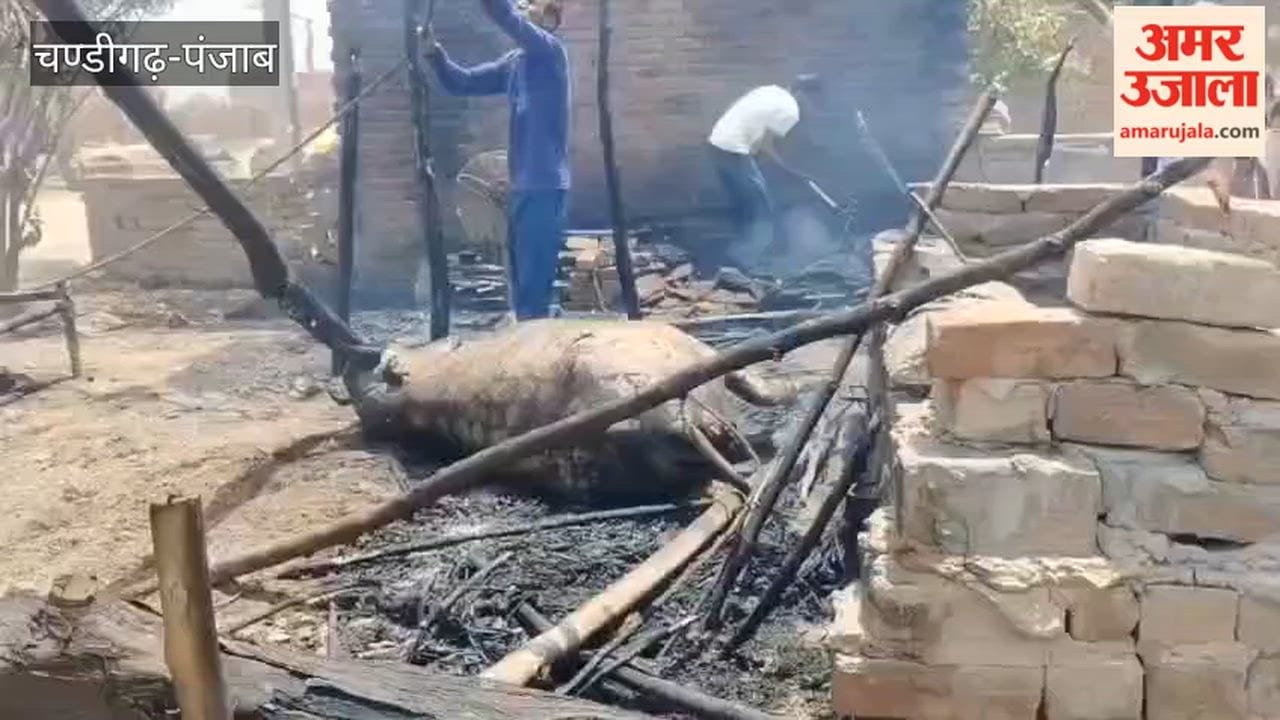 Fire breaks out in a cowshed in Chandiwala village, near the Hussainiwala border.