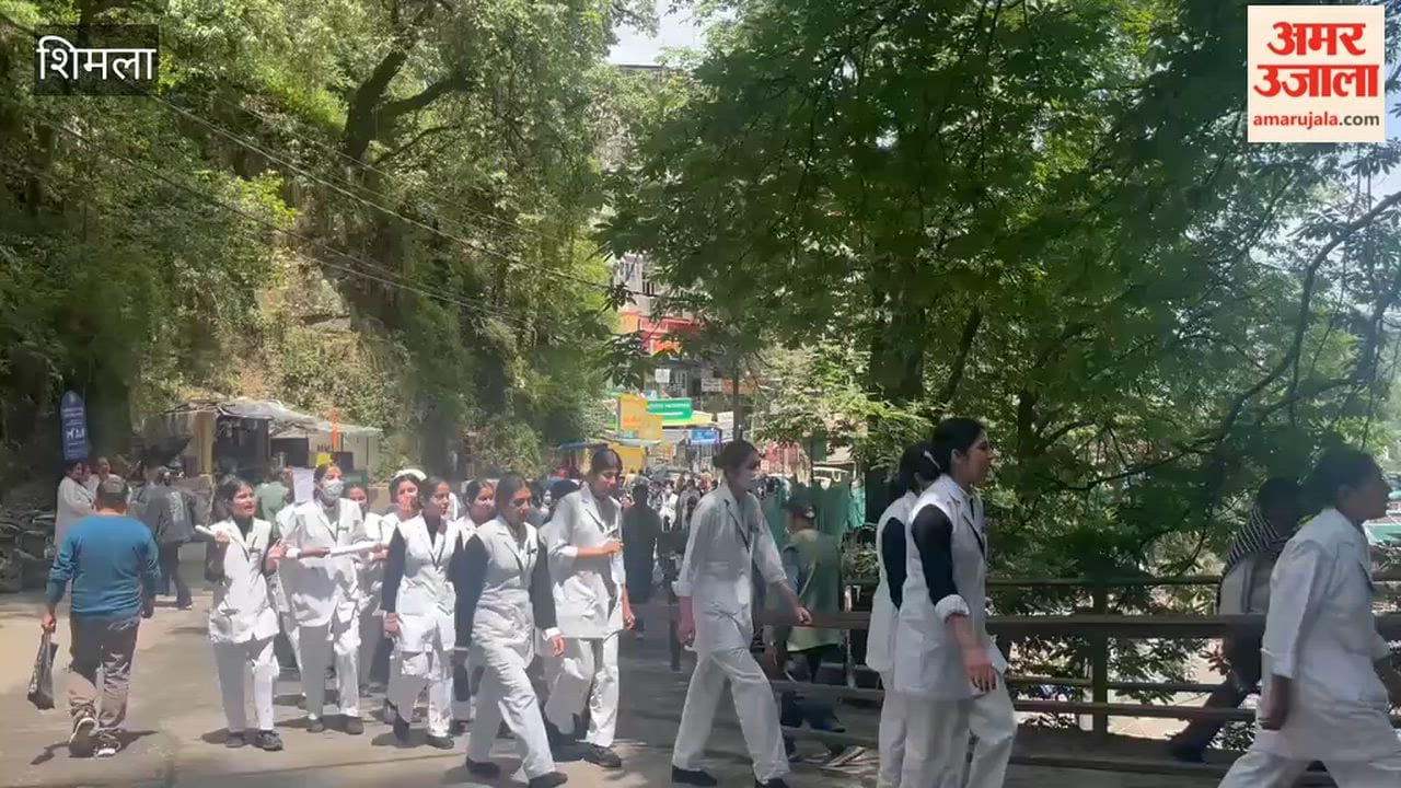 Shimla: Trainee Nurses Hold Awareness Rally to Make Himachal Tobacco-Free