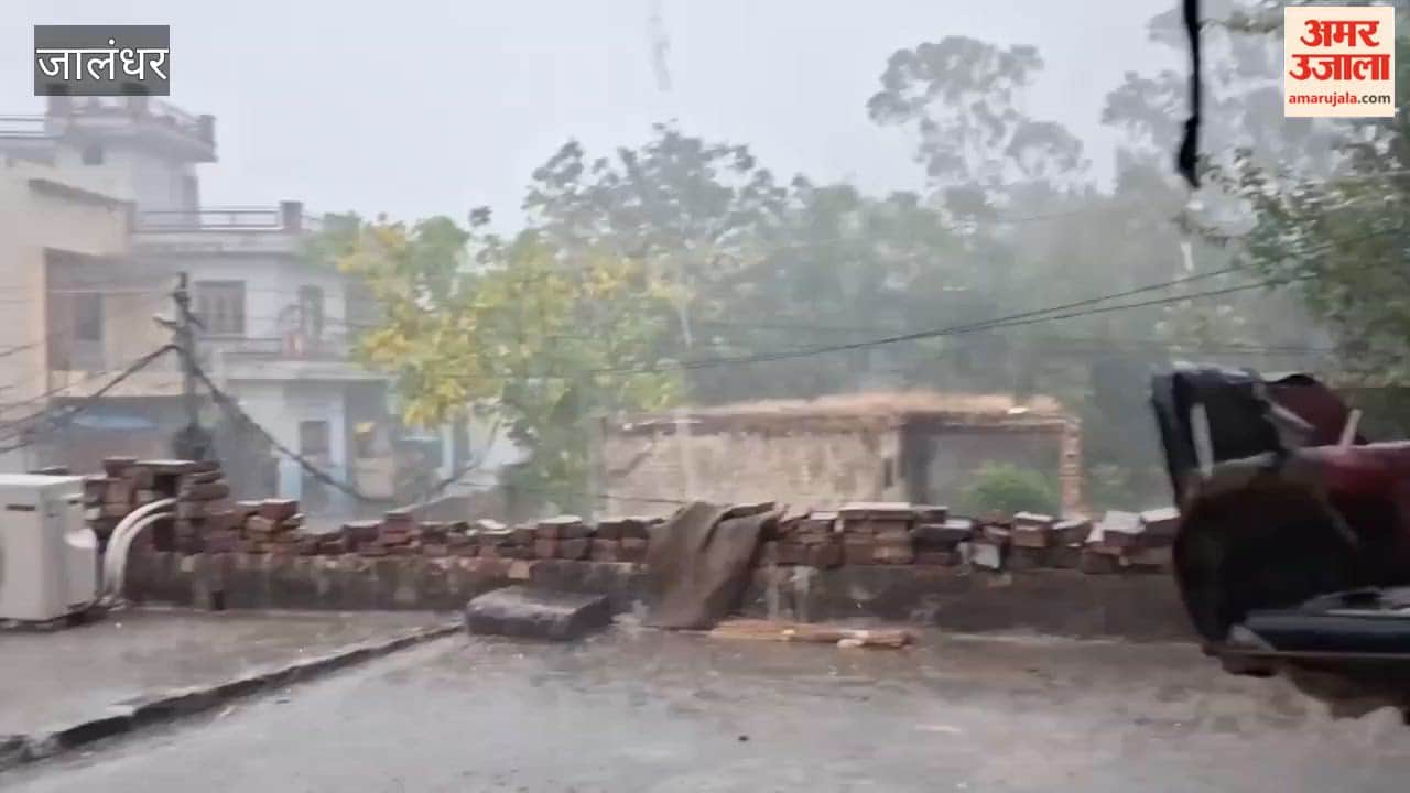 Heavy rain, hailstorm accompanied by strong winds in Jalandhar