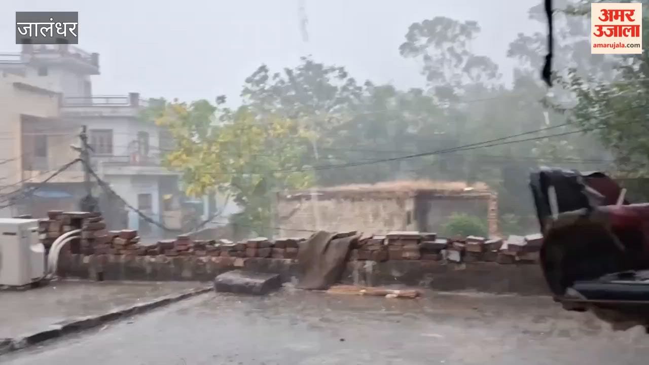 Heavy rain, hailstorm accompanied by strong winds in Jalandhar