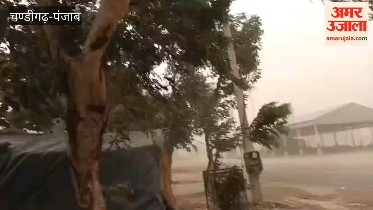 Light rain followed a severe dust storm in Ferozepur.