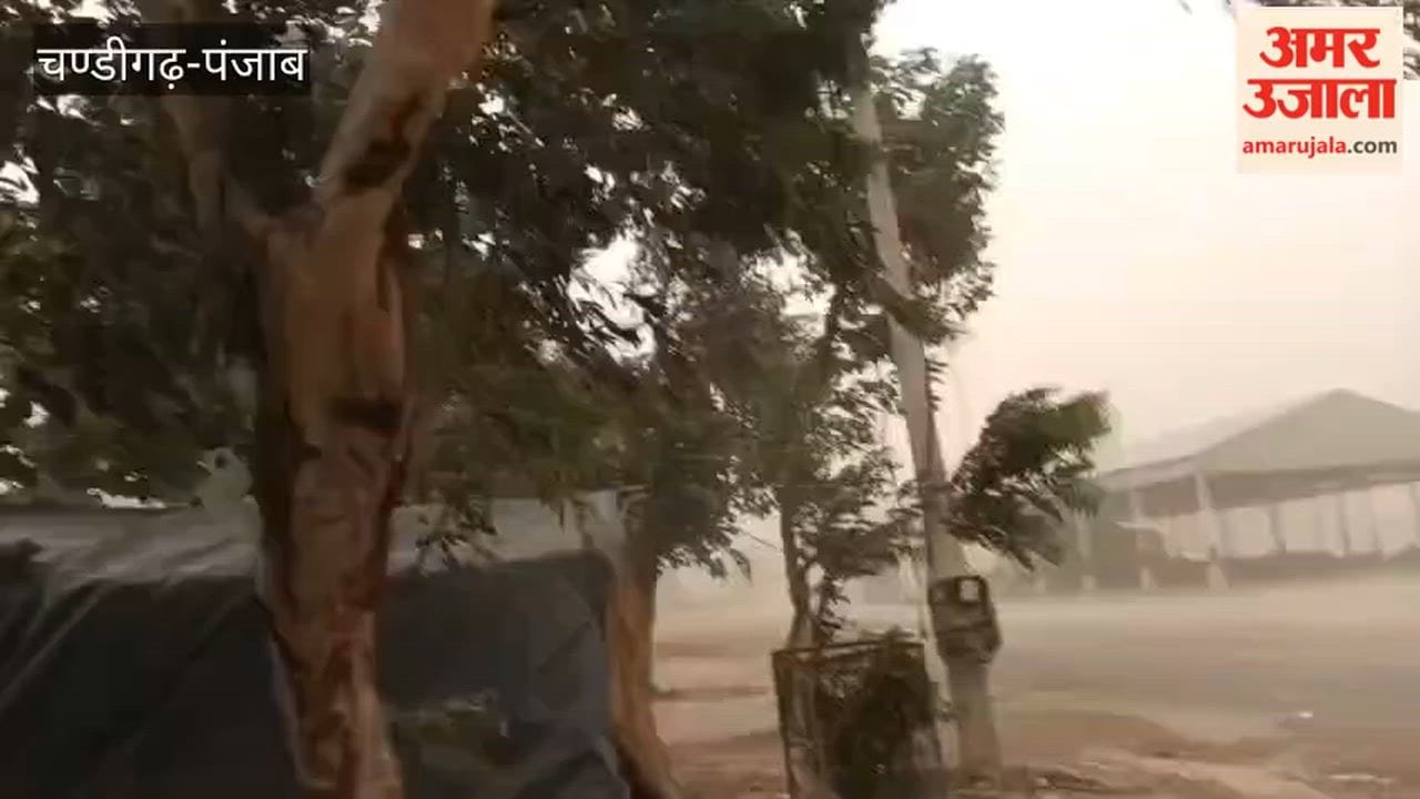 Light rain followed a severe dust storm in Ferozepur.